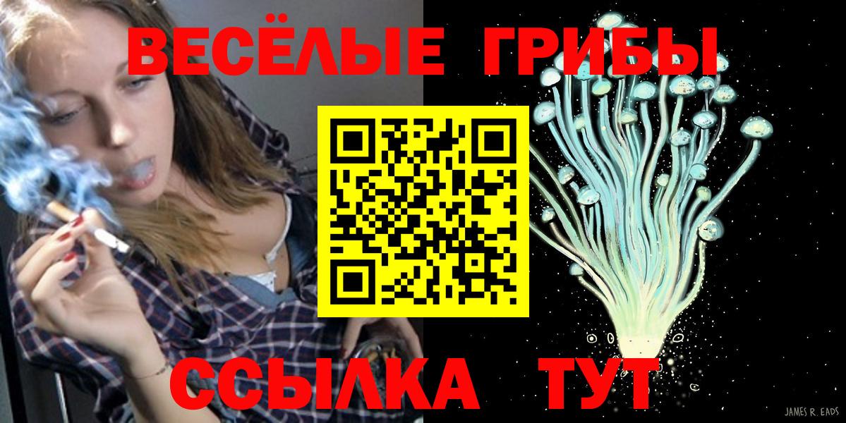Галлюциногенные грибы GOLDEN TEACHER Карталы