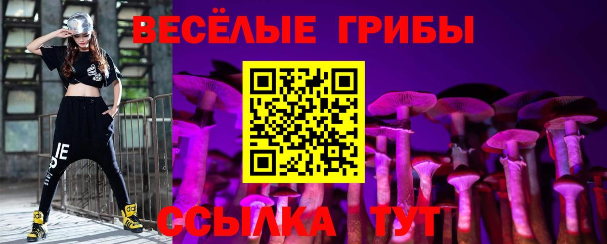Псилоцибиновые грибы Magic Shrooms  Вход с VPN  Карталы 